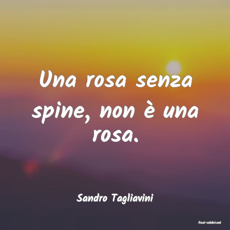 frasi di  Sandro Tagliavini
