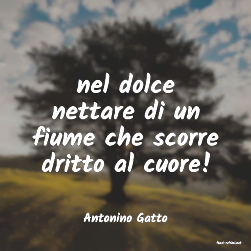 frasi di  Antonino Gatto
