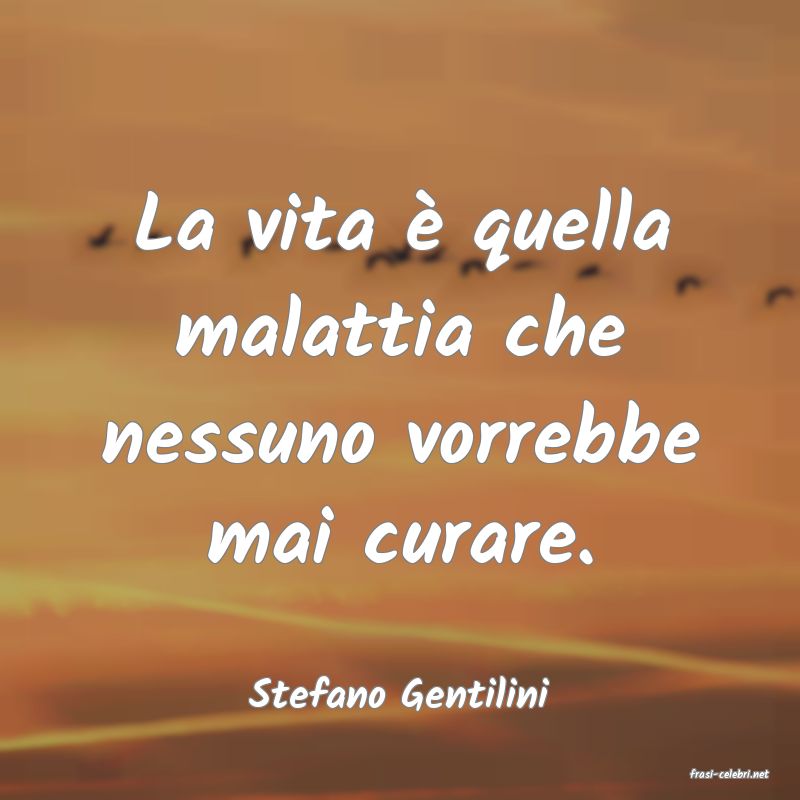 frasi di  Stefano Gentilini
