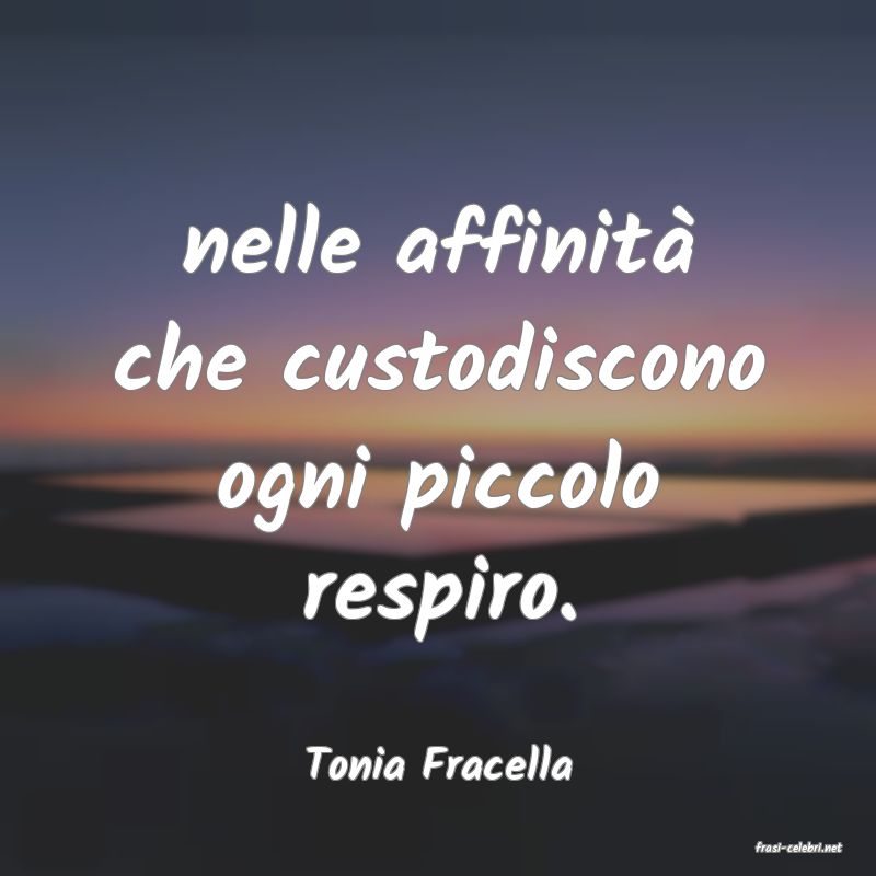 frasi di  Tonia Fracella
