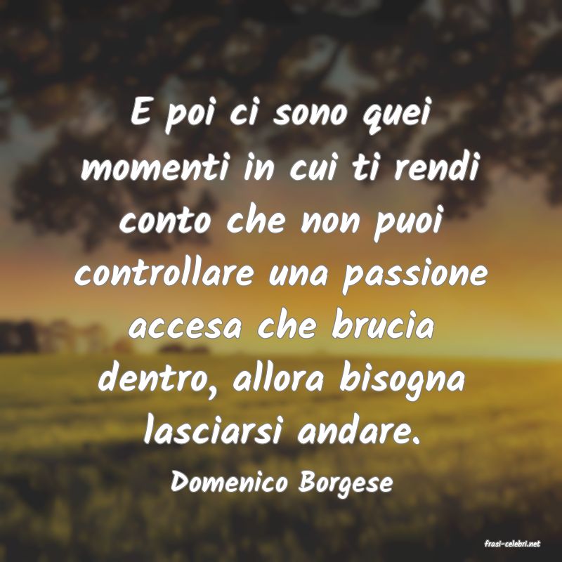 frasi di  Domenico Borgese
