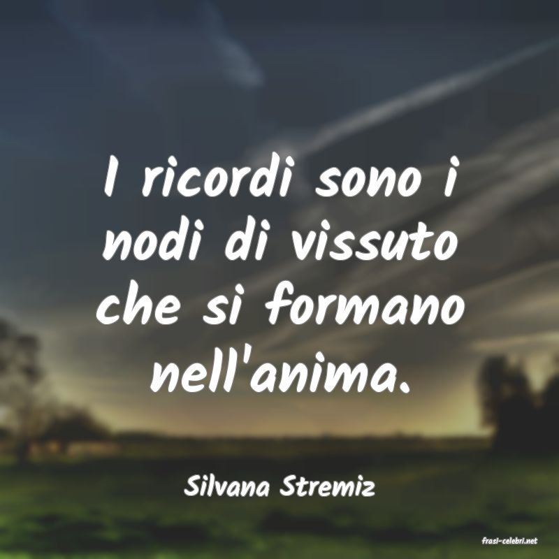 frasi di  Silvana Stremiz
