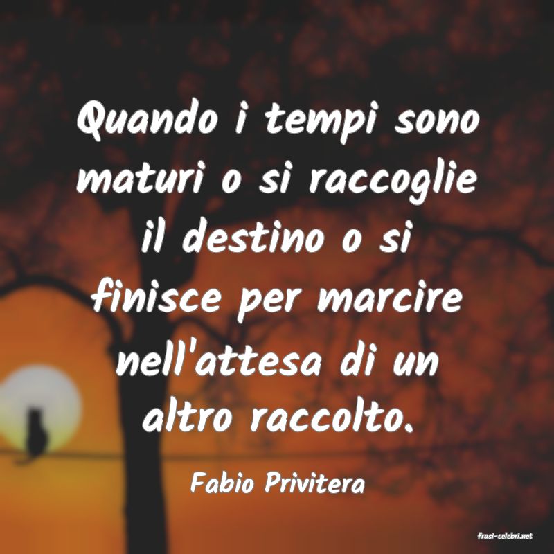 frasi di  Fabio Privitera
