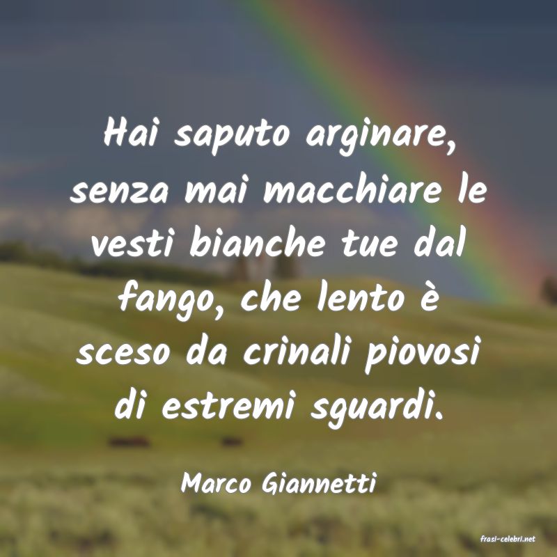 frasi di  Marco Giannetti
