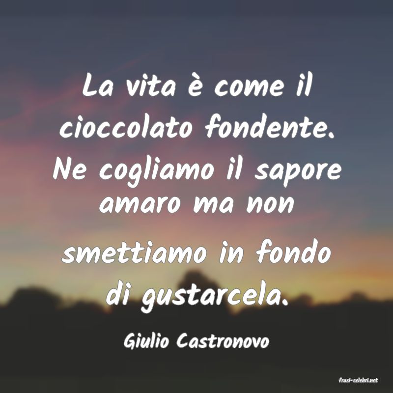 frasi di  Giulio Castronovo
