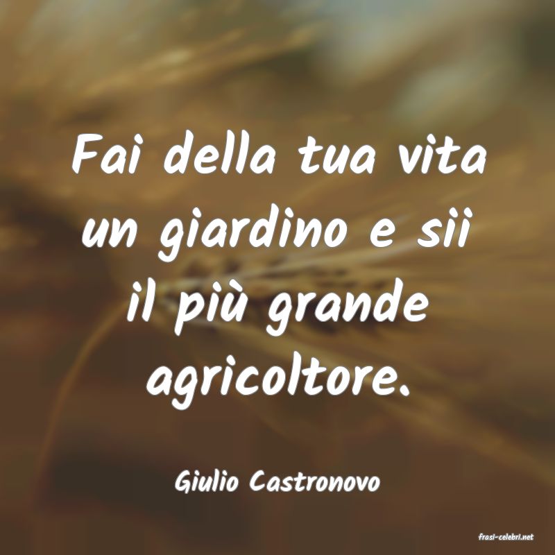 frasi di  Giulio Castronovo
