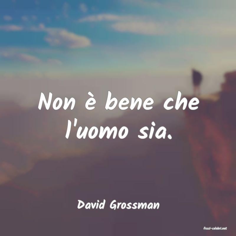 frasi di  David Grossman
