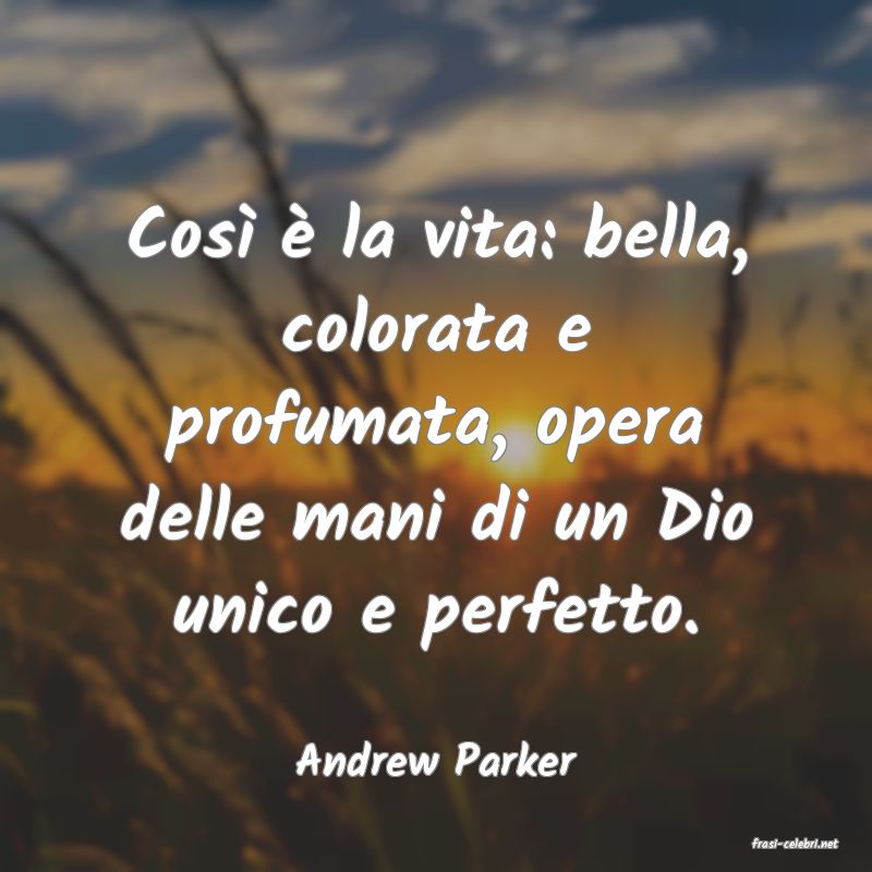 frasi di  Andrew Parker
