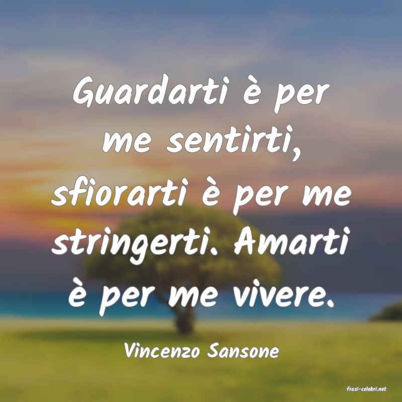 frasi di  Vincenzo Sansone
