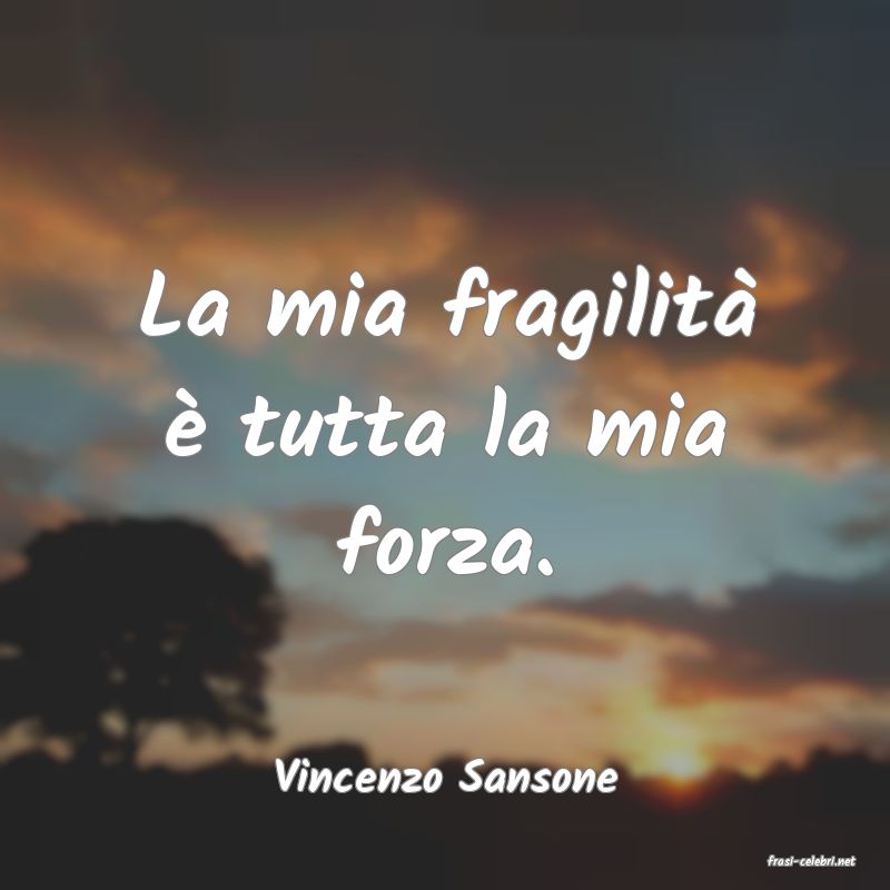 frasi di  Vincenzo Sansone
