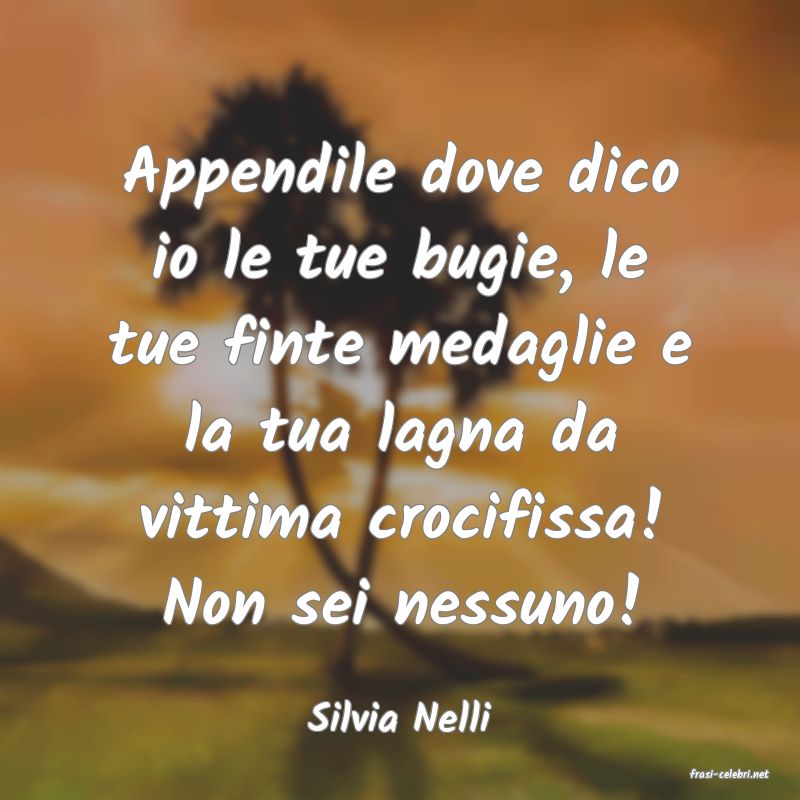 frasi di Silvia Nelli