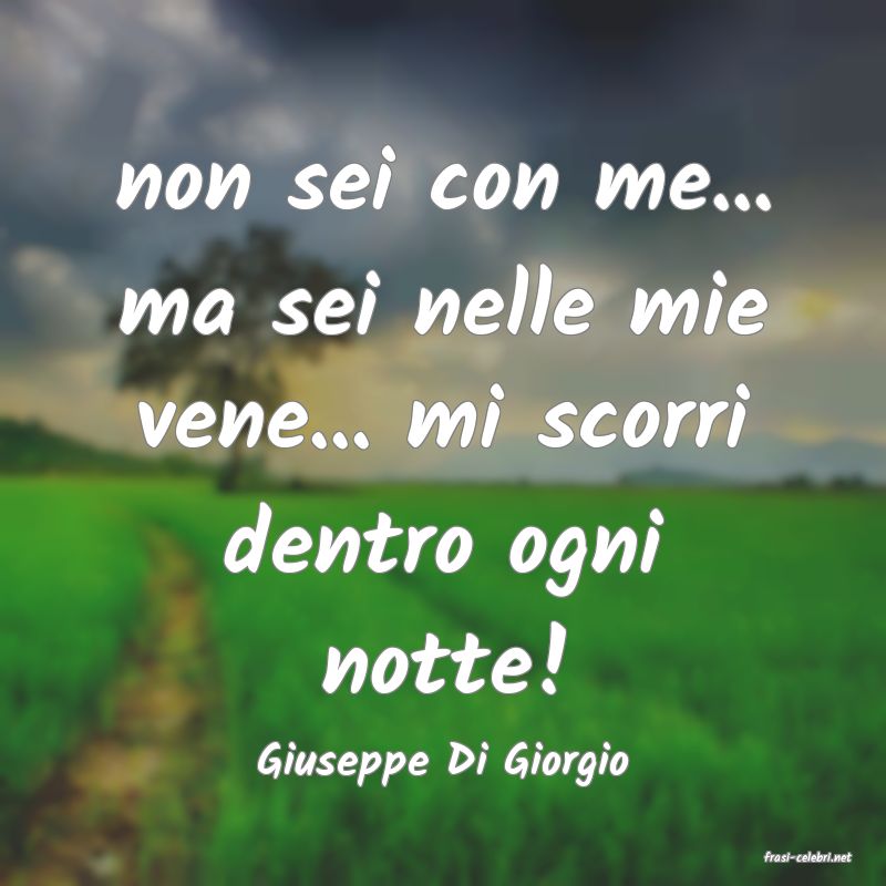 frasi di  Giuseppe Di Giorgio
