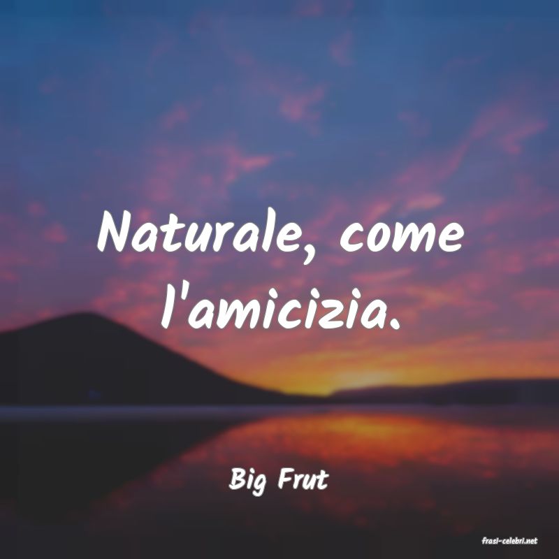 frasi di  Big Frut
