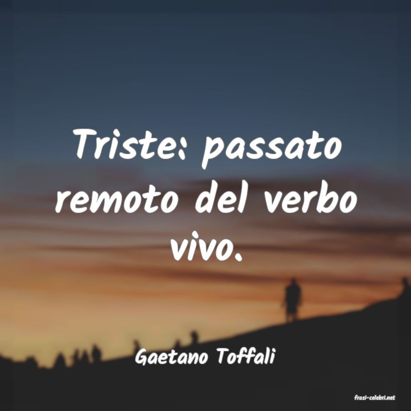 frasi di  Gaetano Toffali
