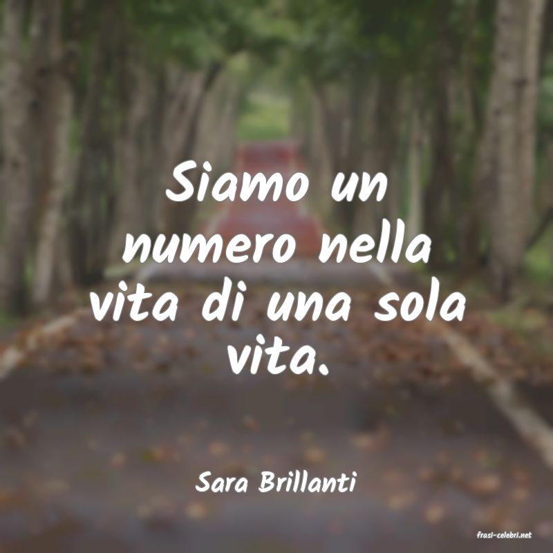 frasi di  Sara Brillanti
