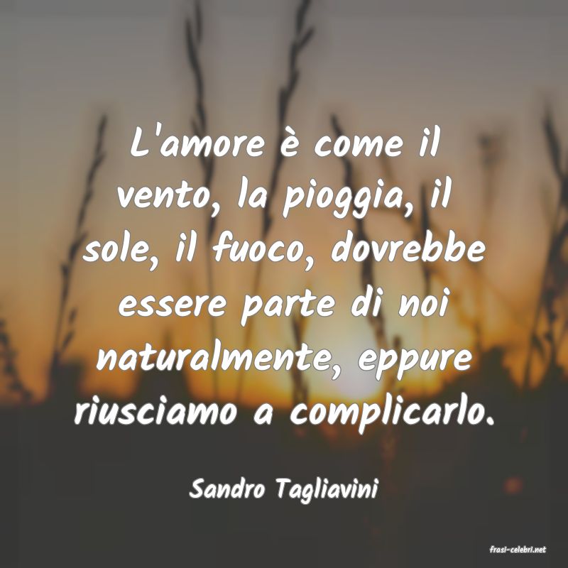 frasi di  Sandro Tagliavini
